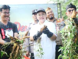 Panen Ubi Jalar dan Singkong, Agustina Wilujeng Perkuat Ketahanan Pangan Lokal