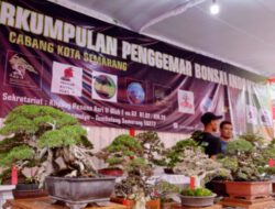 Gelar Pameran dan Kontes Tanaman Hias Selama 10 Hari di Wonderia, Perkumpulan Penggemar Bonsai Indonesia Cabang Kota Semarang Ikut Berpartisipasi Meramaikan Dengan Menampilkan 54 Jenis Bonsai Berprestasi