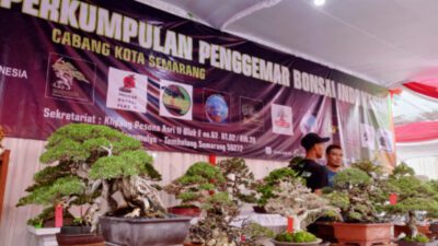 Gelar Pameran dan Kontes Tanaman Hias Selama 10 Hari di Wonderia, Perkumpulan Penggemar Bonsai Indonesia Cabang Kota Semarang Ikut Berpartisipasi Meramaikan Dengan Menampilkan 54 Jenis Bonsai Berprestasi