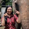 Semarang Zoo Hentikan Atraksi Tunggang Gajah, Taat SE Dirjen KSDAE No. 6 Tahun 2025