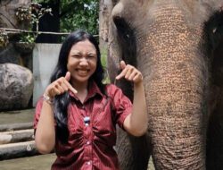 Semarang Zoo Hentikan Atraksi Tunggang Gajah, Taat SE Dirjen KSDAE No. 6 Tahun 2025