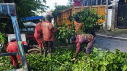 Cuaca Ekstrem Landa Semarang, Pemkot Evakuasi Pohon Tumbang di Berbagai Wilayah