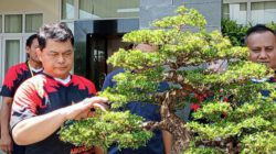 Pemkot Semarang Gandeng Abon Semar, Kembangkan Sekolah Bonsai