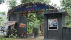 Kematian Harimau Benggala Putih Jadi Evaluasi, Pemkot Semarang Perkuat Pengelolaan Semarang Zoo