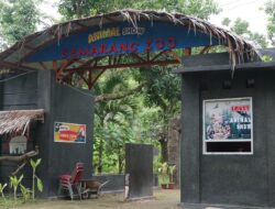 Kematian Harimau Benggala Putih Jadi Evaluasi, Pemkot Semarang Perkuat Pengelolaan Semarang Zoo