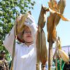 Panen Raya Jagung GP Ansor, Wali Kota Semarang Apresiasi Peran Pemuda Perkuat Ketahanan Pangan