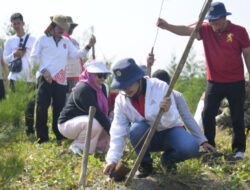 Pulau Tirang Jadi Simbol Kolaborasi Hijau, Wali Kota Semarang Tanam Cemara Laut Bersama Warga
