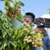 Wali Kota Semarang Ingin Agro Eduwisata Masjid Agung Jadi Ikon Wisata Edukasi Baru