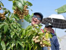 Wali Kota Semarang Ingin Agro Eduwisata Masjid Agung Jadi Ikon Wisata Edukasi Baru