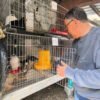 Dari Sampah Jadi Cuan, Omah Keboen Kembangkan Pertanian, Peternakan hingga Perikanan