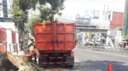 Tragedi Pohon Tumbang di Pandanaran, Pemkot Semarang Siapkan Teknologi Tree Scanning