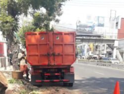 Tragedi Pohon Tumbang di Pandanaran, Pemkot Semarang Siapkan Teknologi Tree Scanning