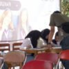 Amanda Khoirunnisa Raih 138 Suara, Terpilih Pimpin BEM Fakultas Psikologi USM